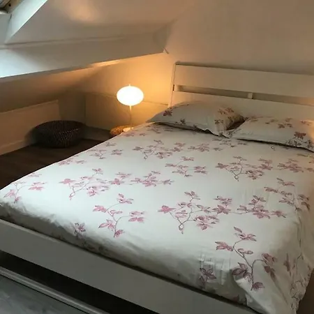 Coccon Chaleureux Appartement